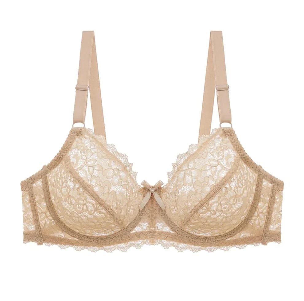 Transparent Cotton Bras β Pack of 2 | Non-Padded, Non-Wired, Full Net Design